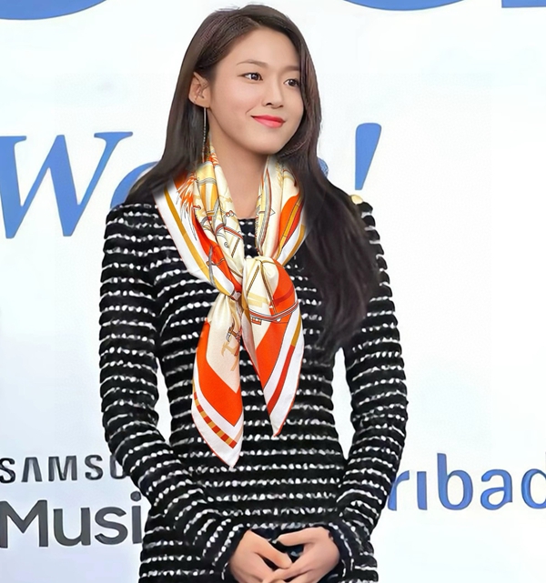 ブランドマフラー正面デザイン